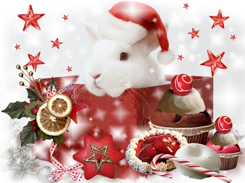 White Rabbit in Santa Hat — Red