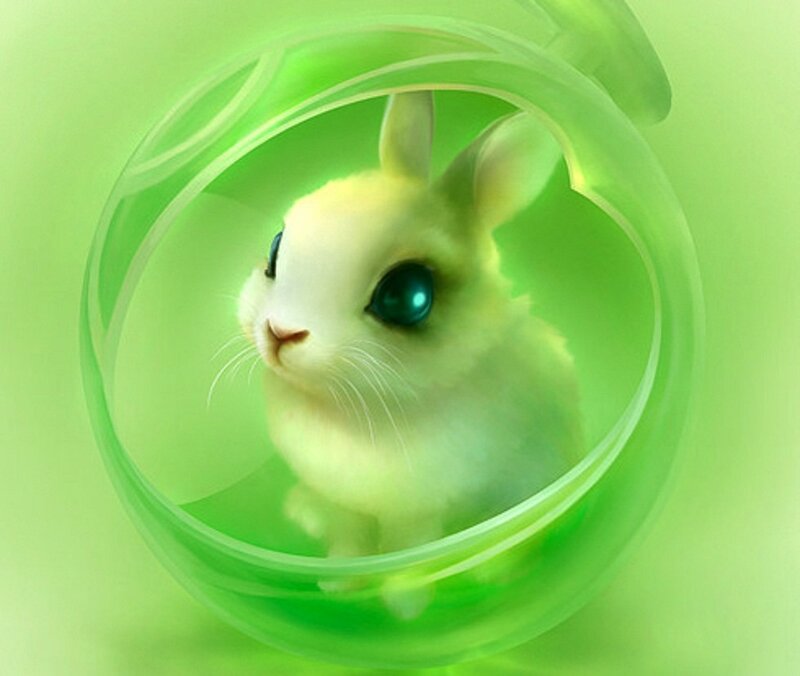 White Rabbit in Sphere