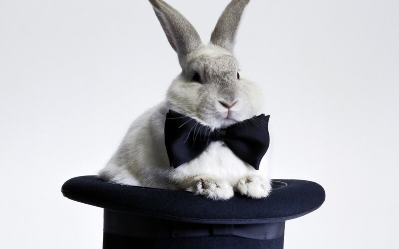 White Rabbit in Top Hat — Formal
