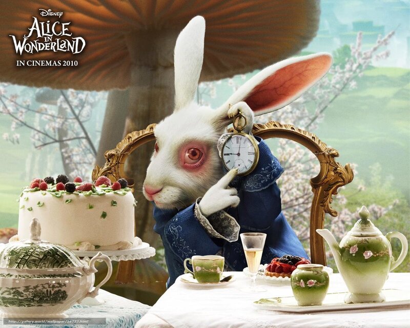 White Rabbit in Wonderland