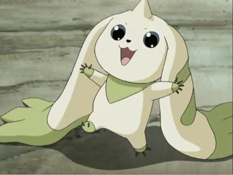 White Rabbit-like Creature — Happy