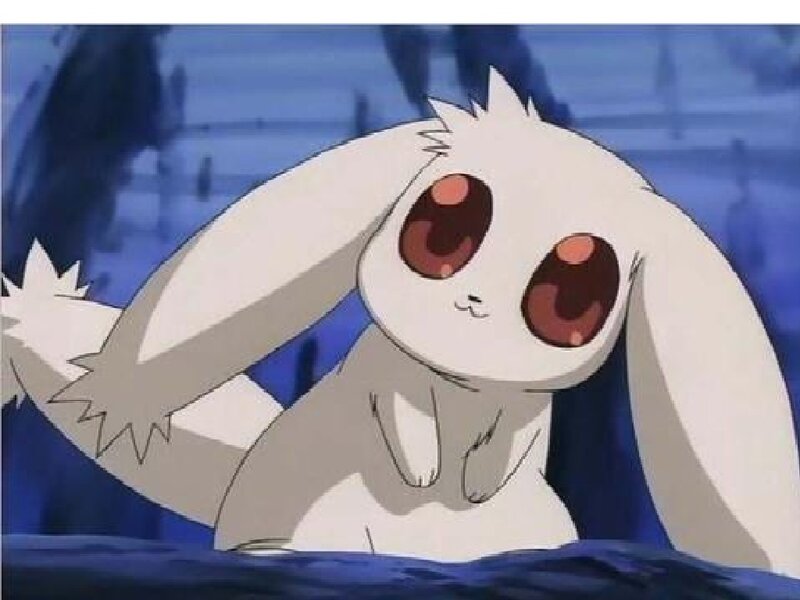 White Rabbit-like Creature