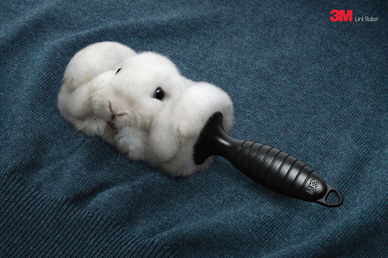 White Rabbit on Fabric