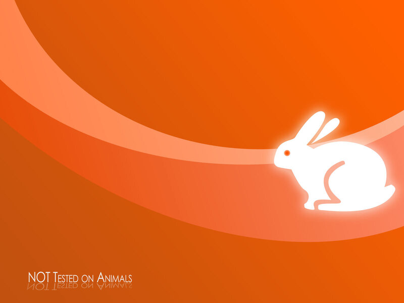 White Rabbit Silhouette — Orange, Minimalist, Vector Art