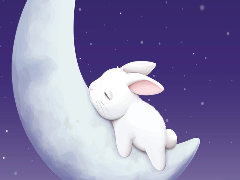 White Rabbit Sleeping
