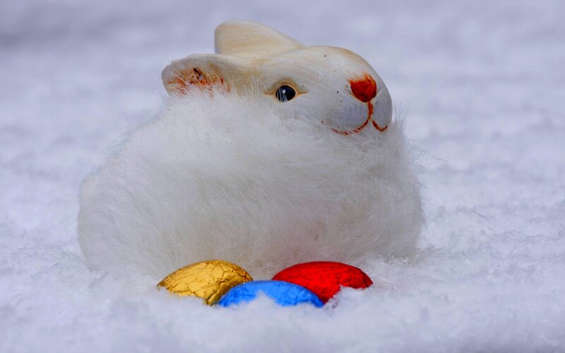 White Rabbit Toy — Calm