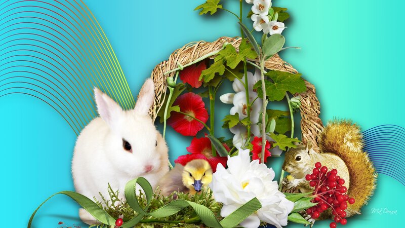 White Rabbit with Duckling