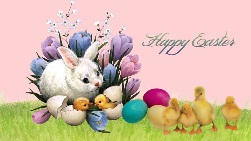 White Rabbit with Ducklings — Pink