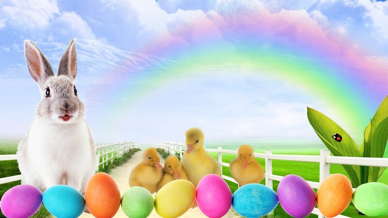 White Rabbit with Ducklings