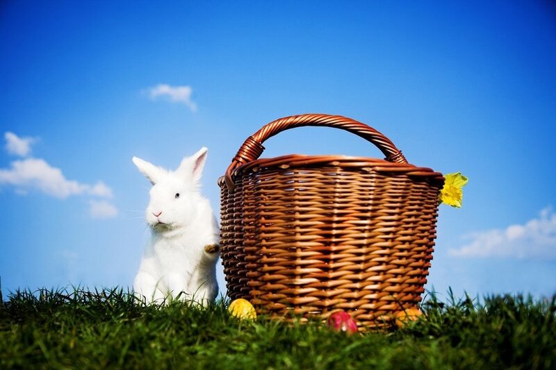 White rabbit with Easter basket