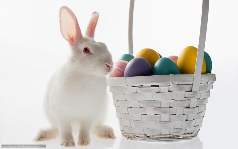 White rabbit with Easter basket