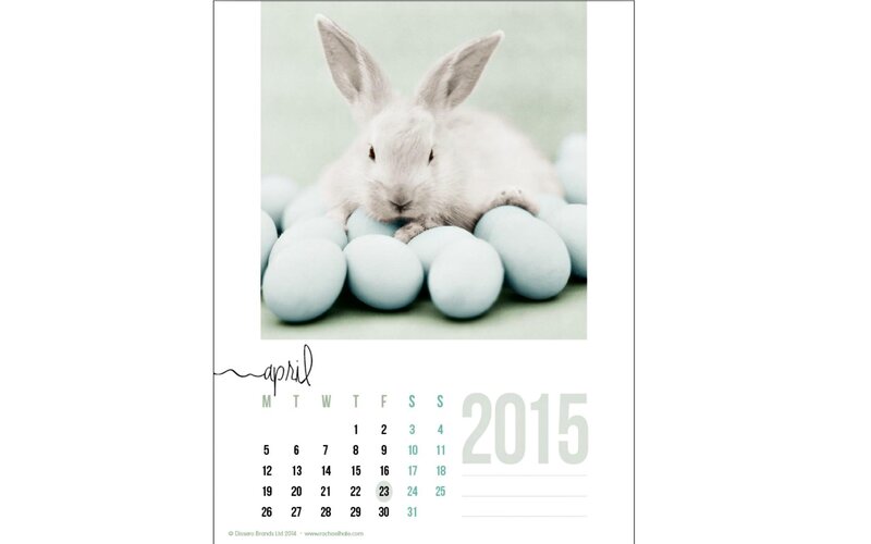 White Rabbit with Eggs — Calm, Spring