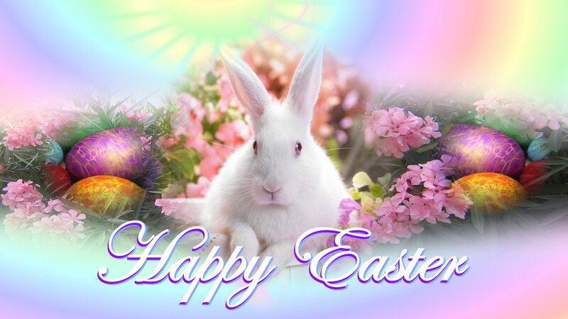 White Rabbit with Eggs — Pink, Festive