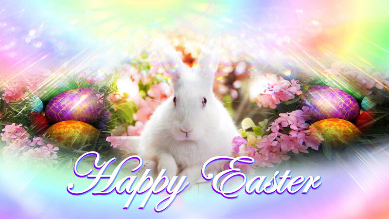 White Rabbit with Eggs — Pink