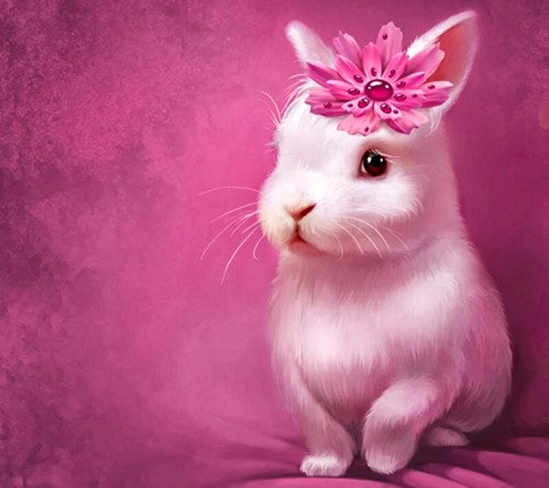 White Rabbit with Flower — Pink, Calm