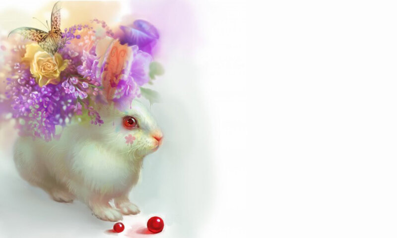 White Rabbit with Flowers — Serene