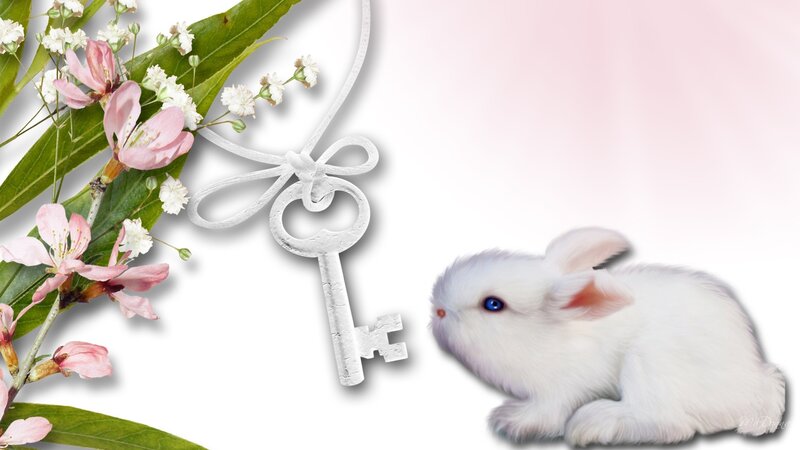 White Rabbit with Key