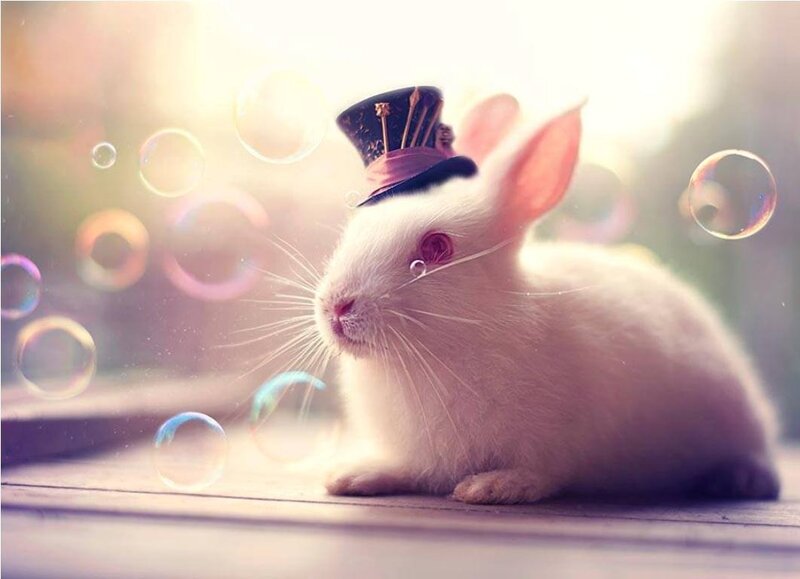 White Rabbit with Top Hat — Whimsical
