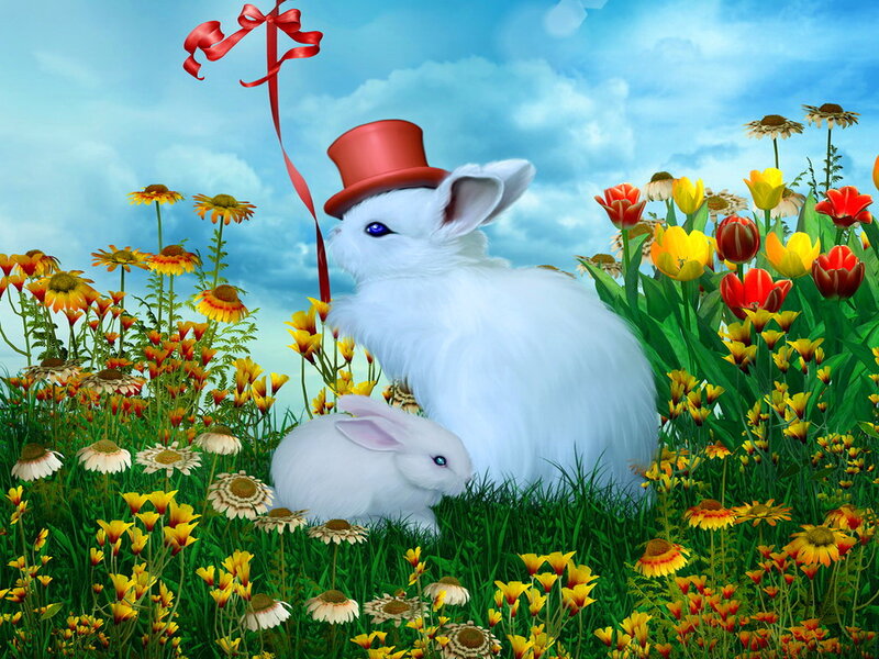 White Rabbits in Field
