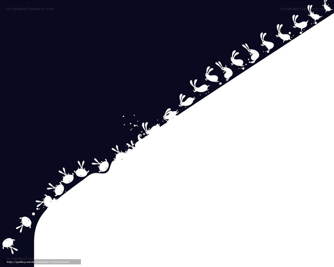 white rabbits on dark background