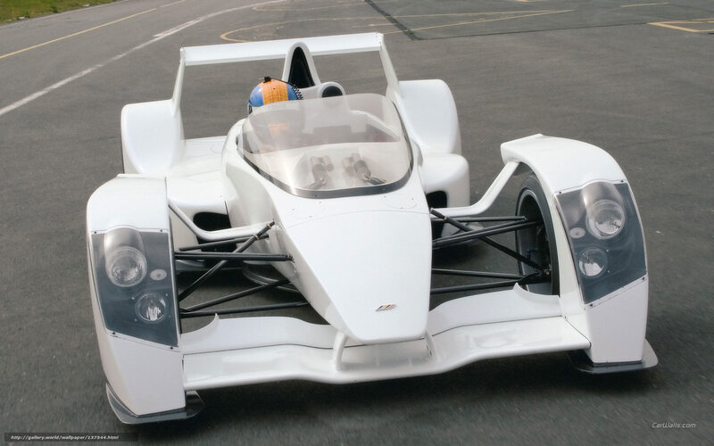 White Race Car — Neutral, Photograph, Driver