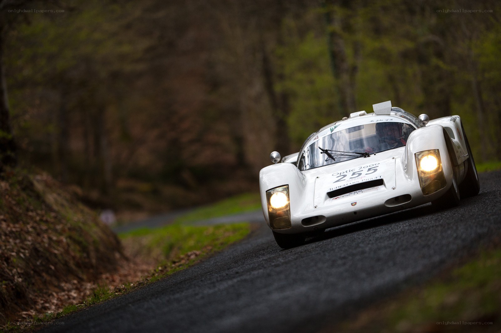 White race car on forest road