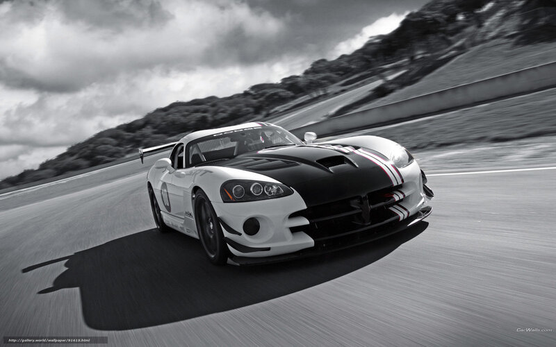white race car on track