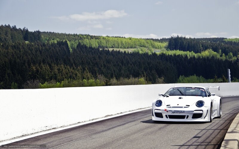 White Race Car on Track — Dynamic, Afternoon, Photograph, Race Track, Forest