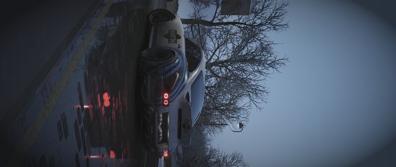 White Race Car on Wet Road