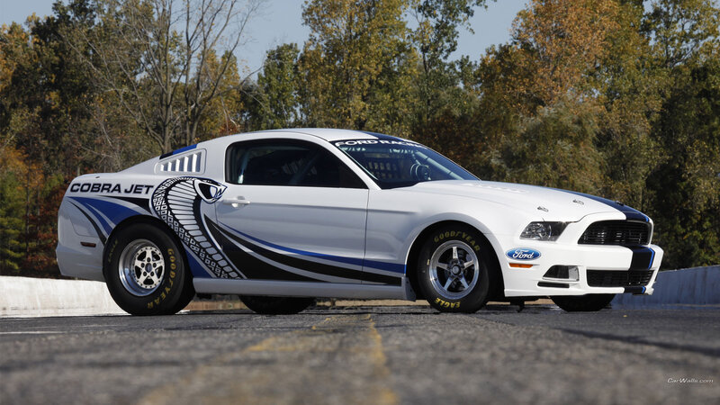 White Racing Car — Calm, Autumn