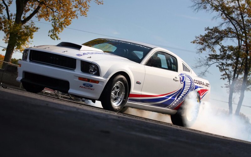 White Racing Car — Dynamic, Autumn