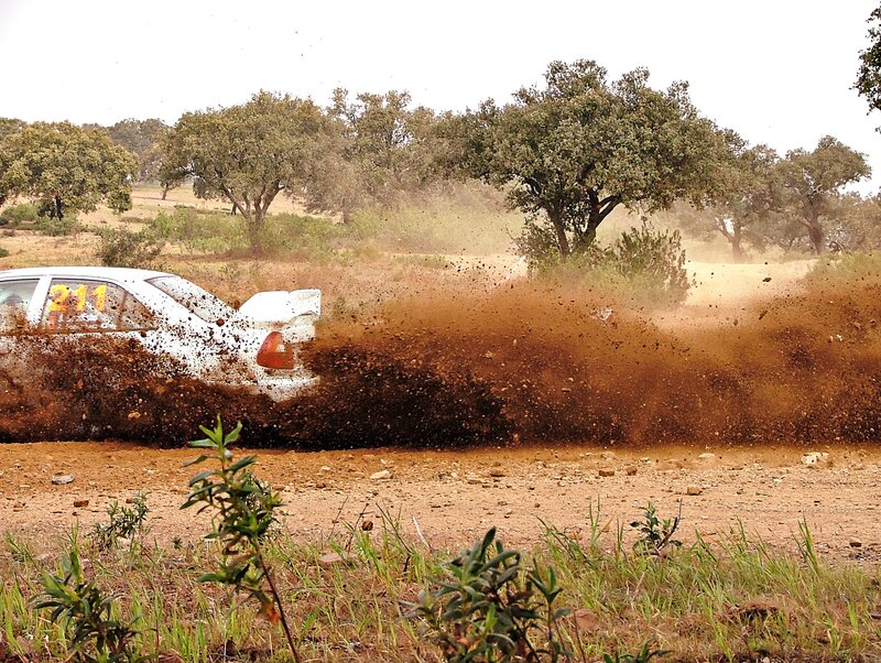 White Rally Car — Brown