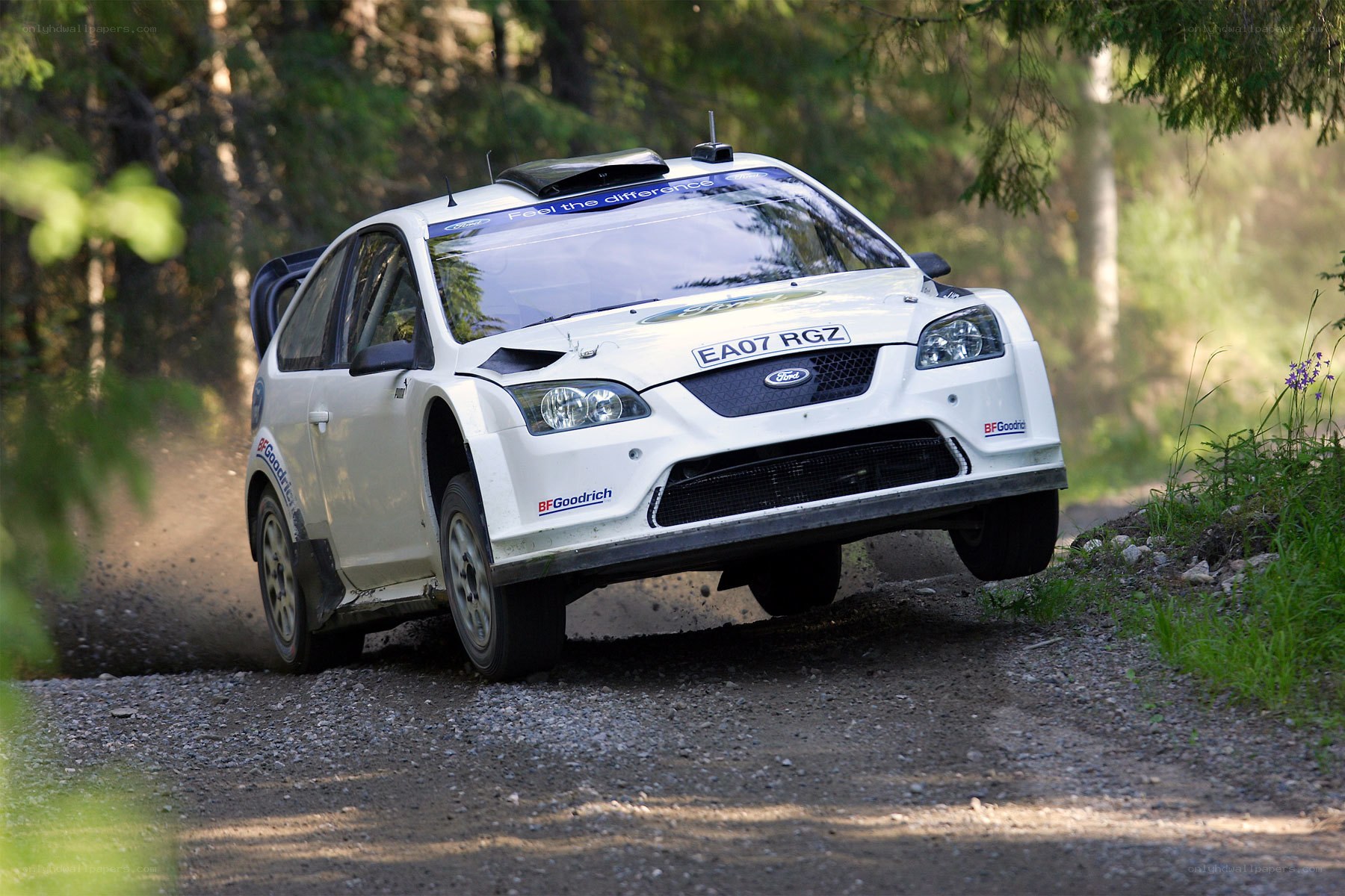 White rally car on forest road