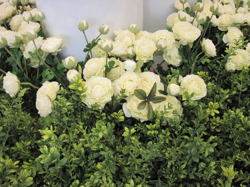 White Ranunculus Flowers — Calm, Photograph, Green Leaves