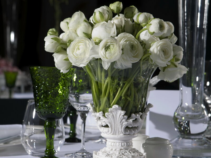 White Ranunculus Flowers — Elegant