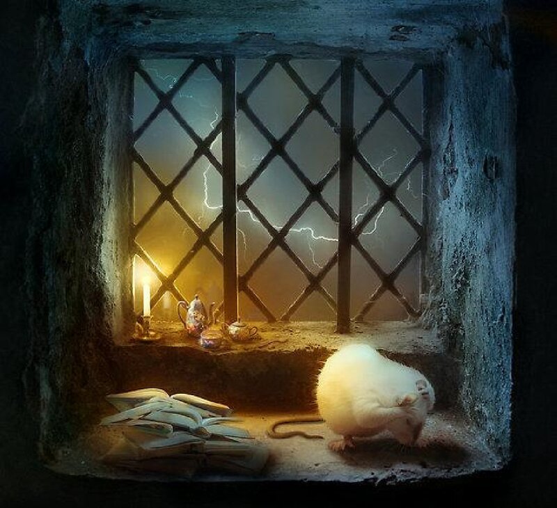 White Rat in Window — Dramatic