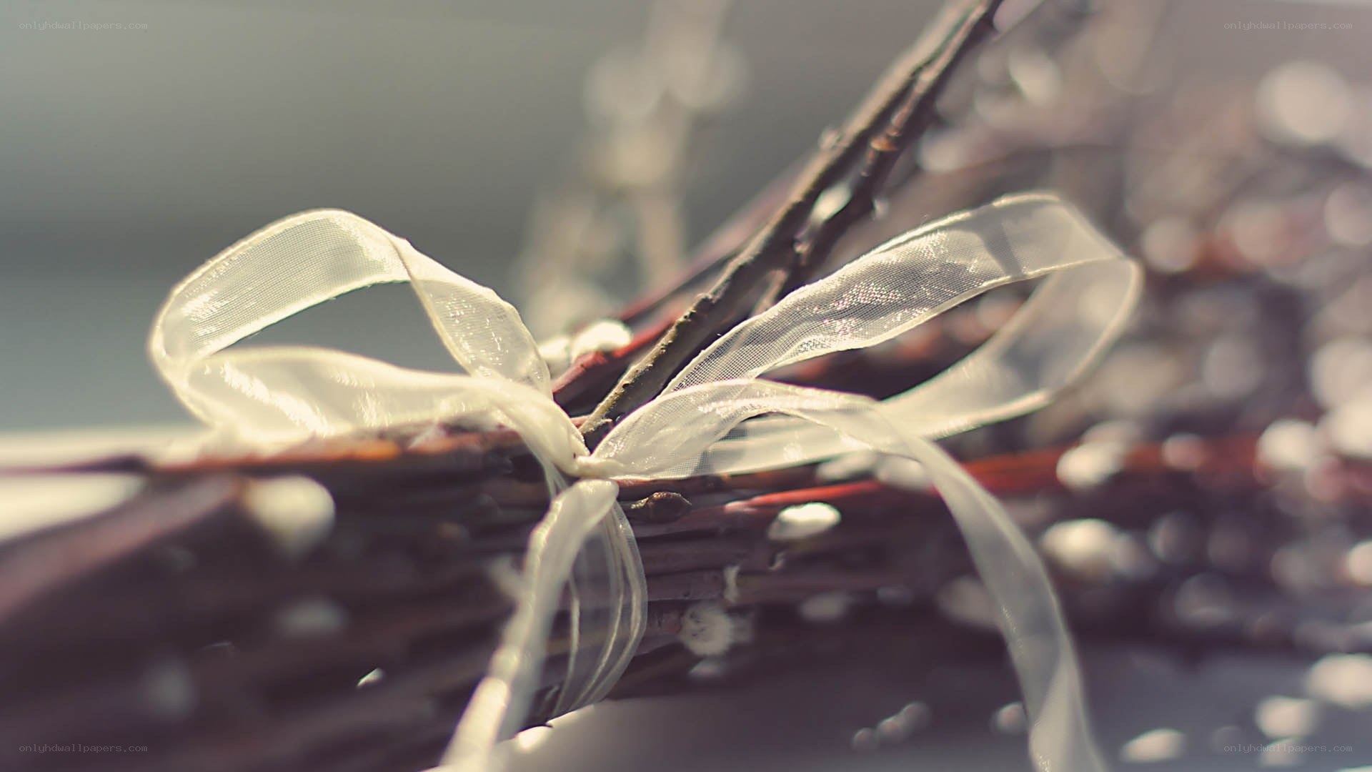 White ribbon on twigs