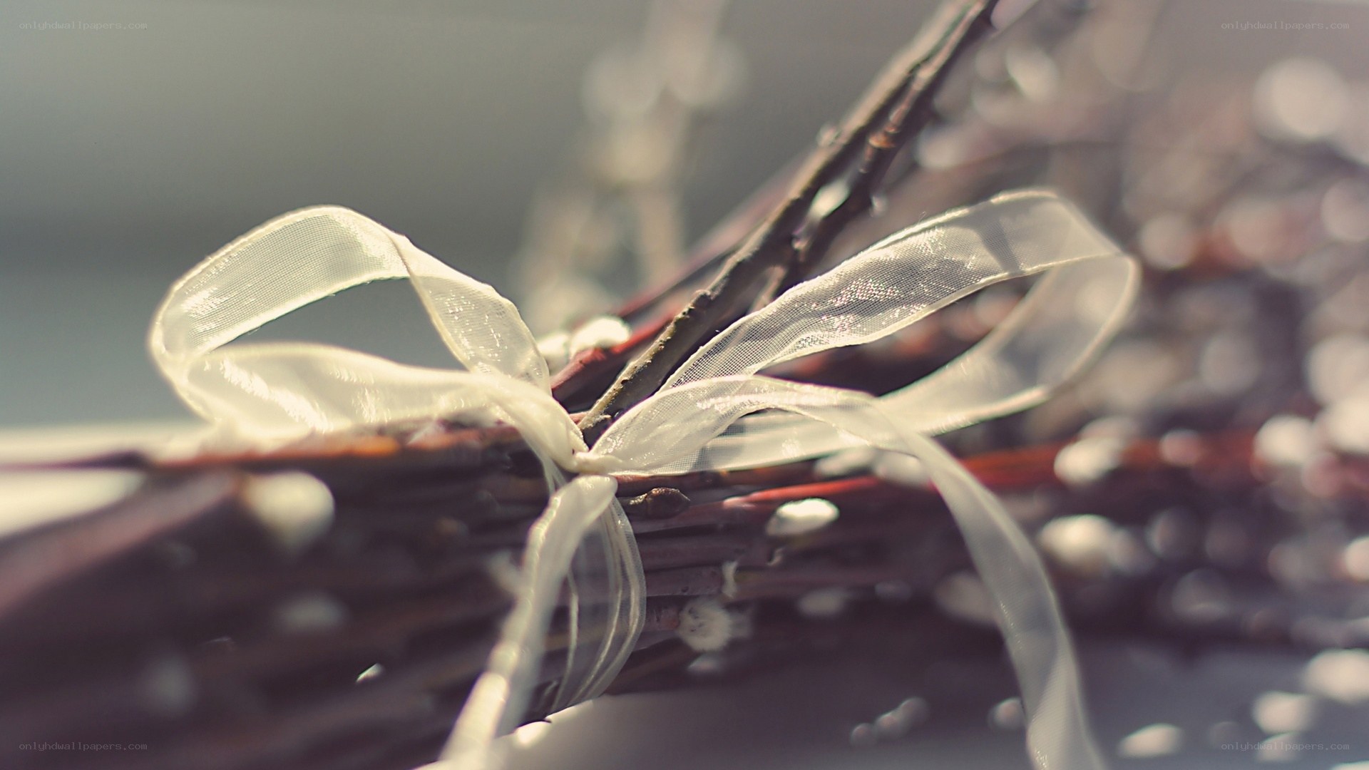white ribbon on willow branches