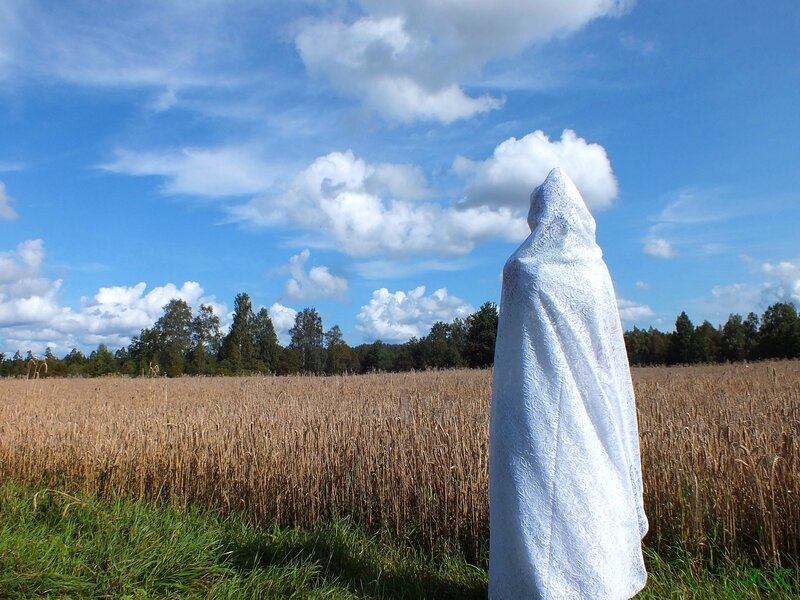 White-robed Figure in Field
