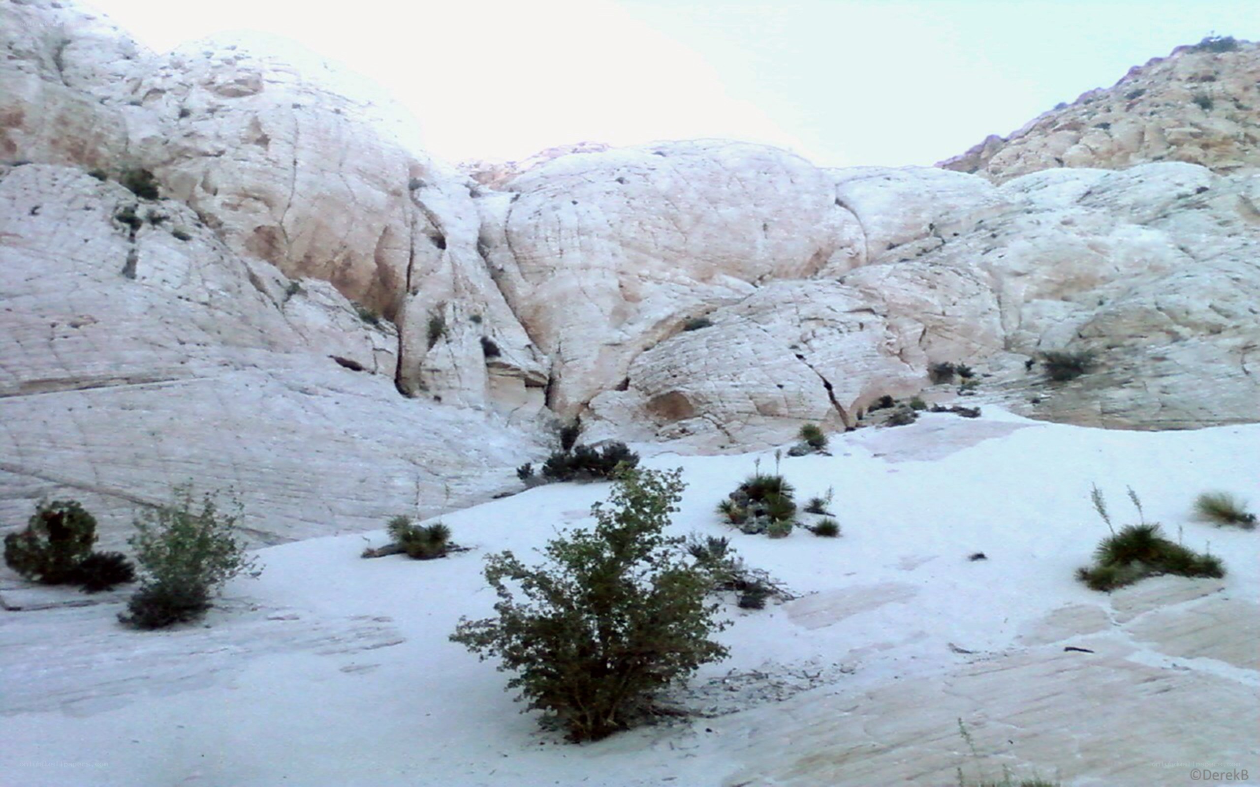 white rock canyon landscape