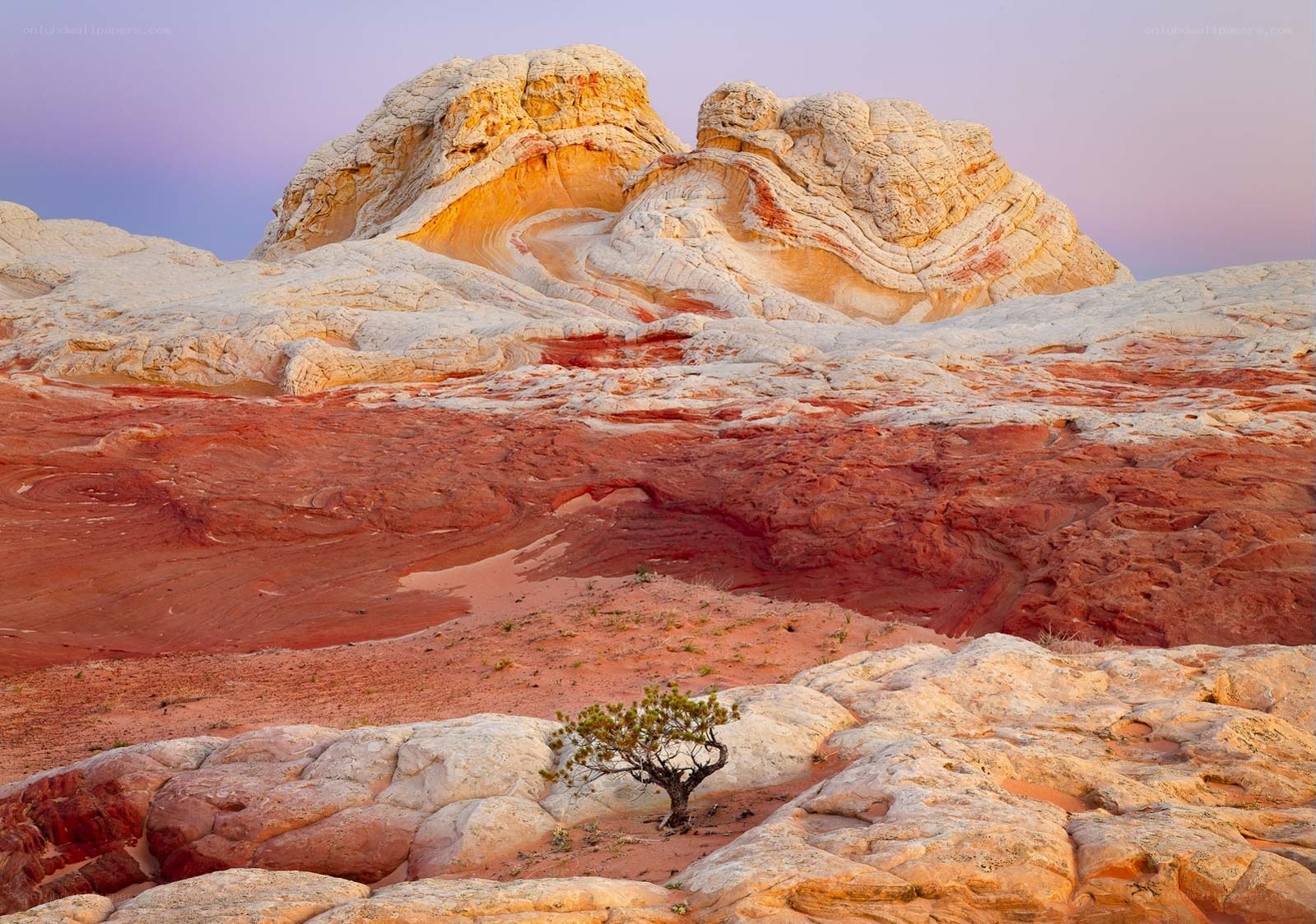 White Rock Formation at Dusk