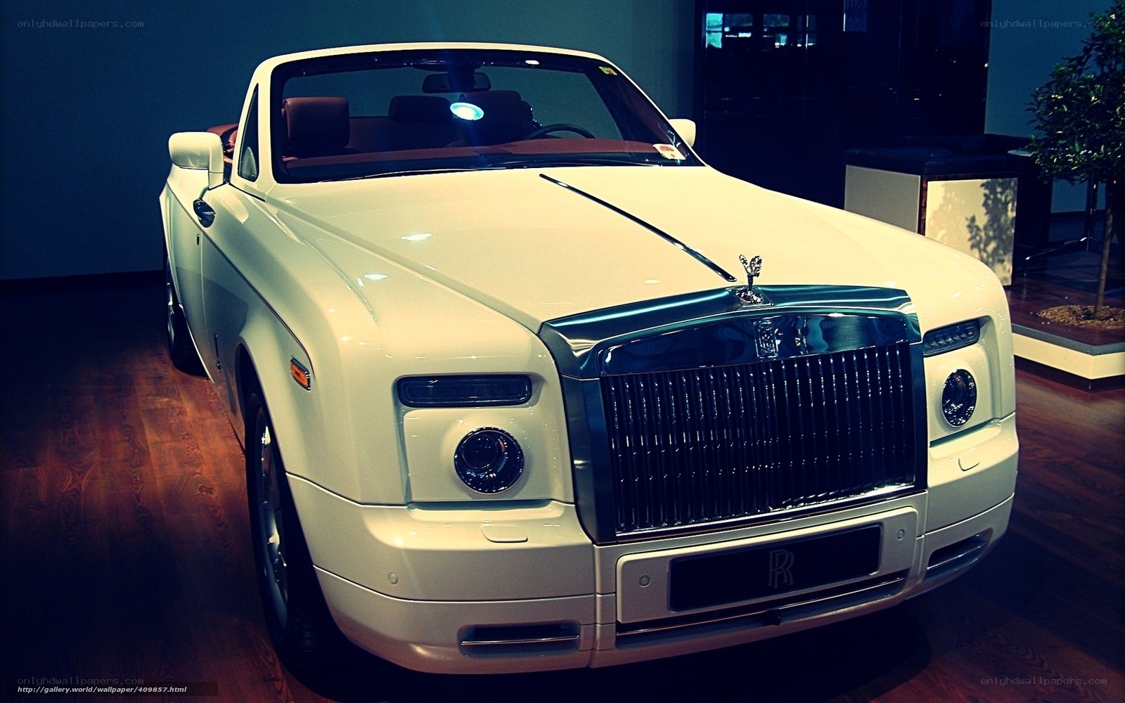 White Rolls-Royce in showroom