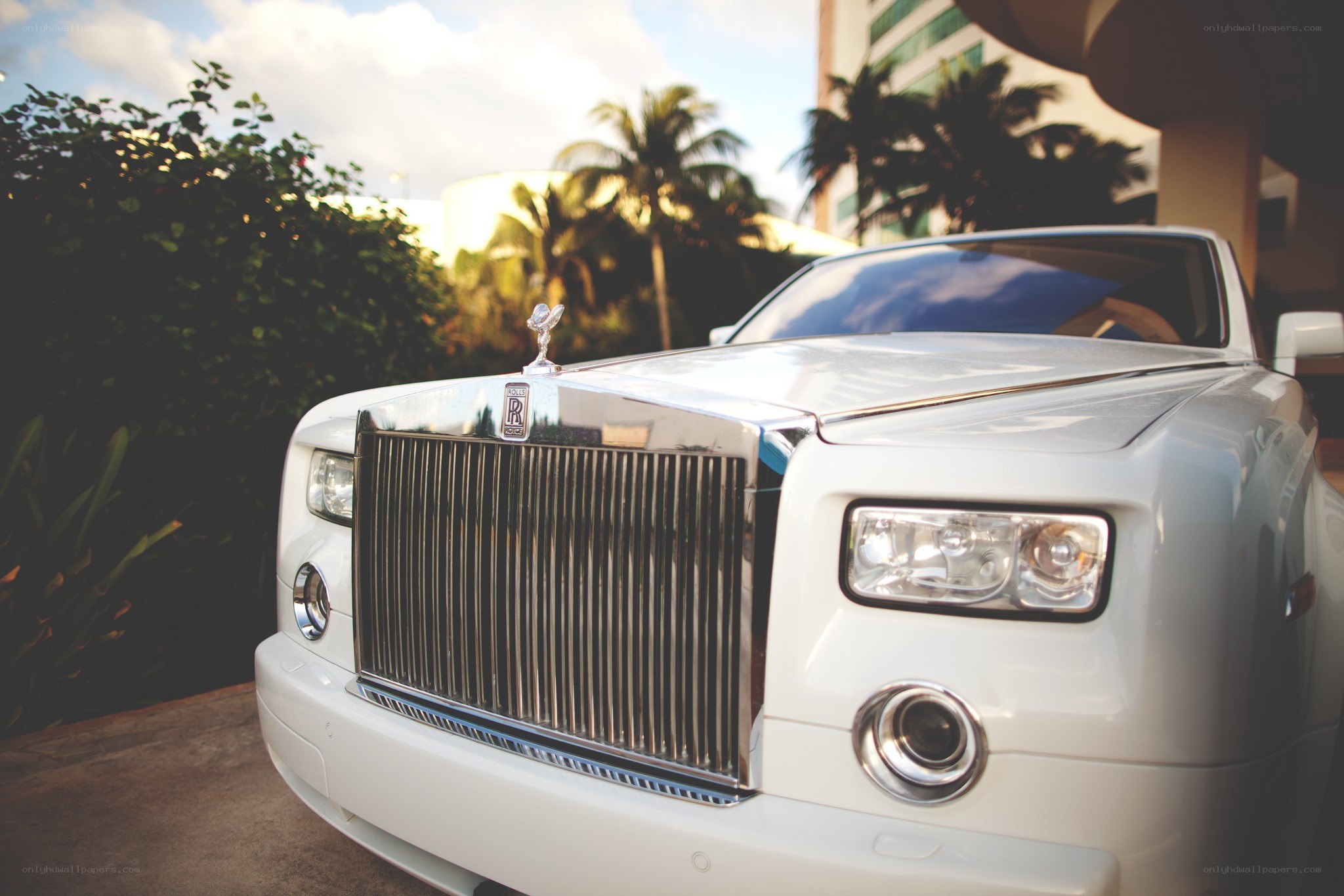 White Rolls-Royce in tropical setting