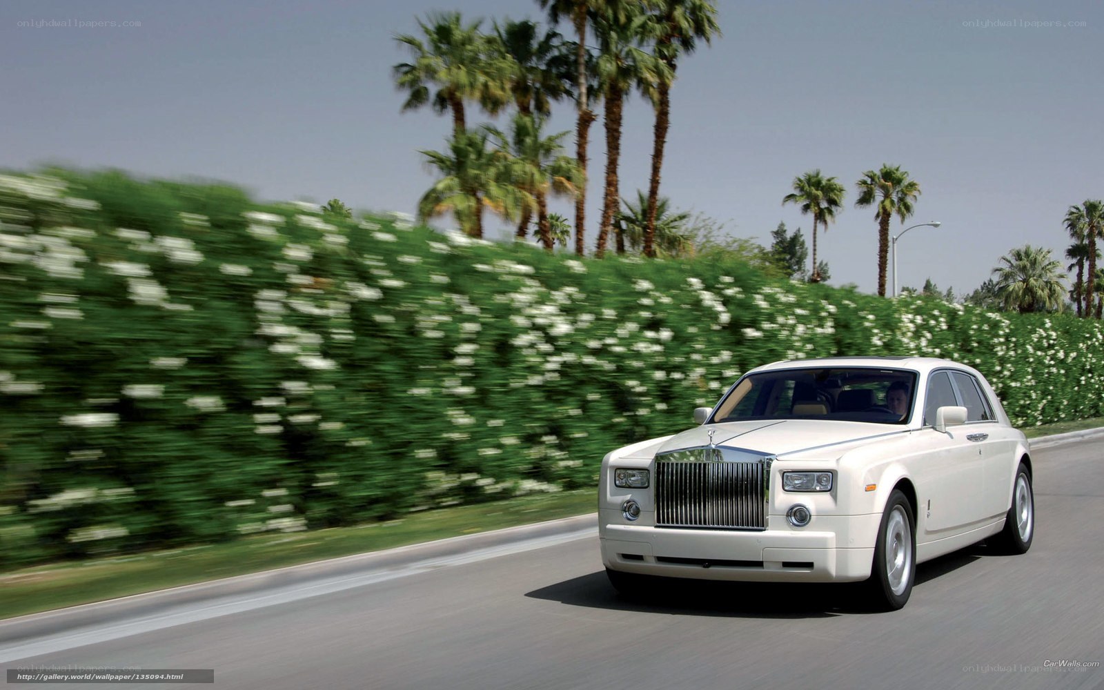 White Rolls-Royce on a sunny road