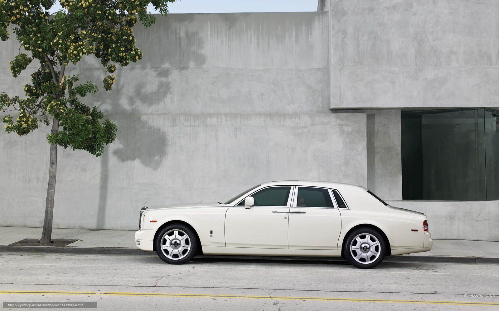 White Rolls-Royce on city street
