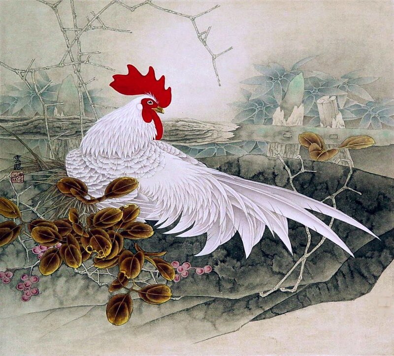 White Rooster on Rock