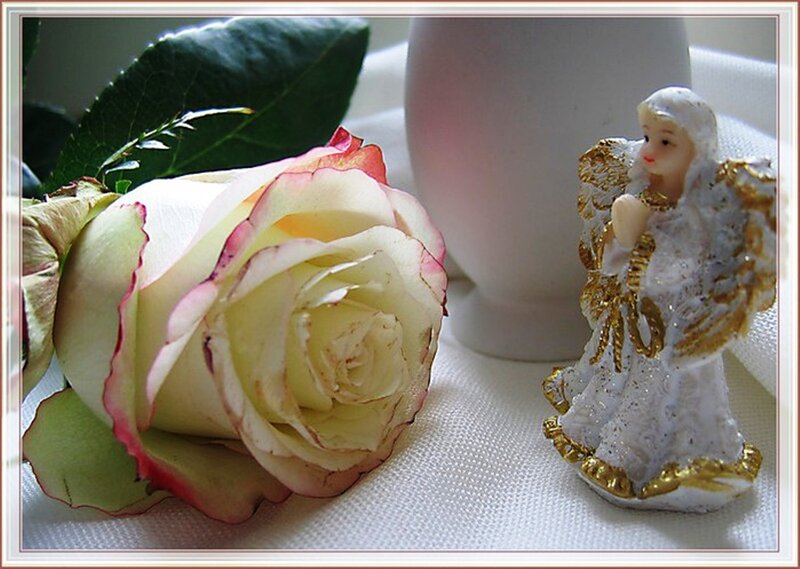 White Rose and Angel Figurine