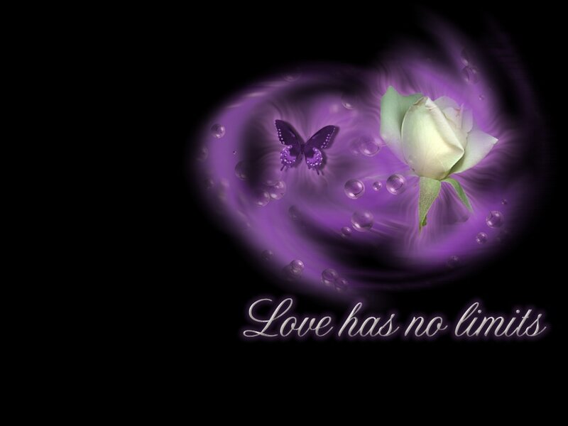 White Rose and Butterfly — Purple