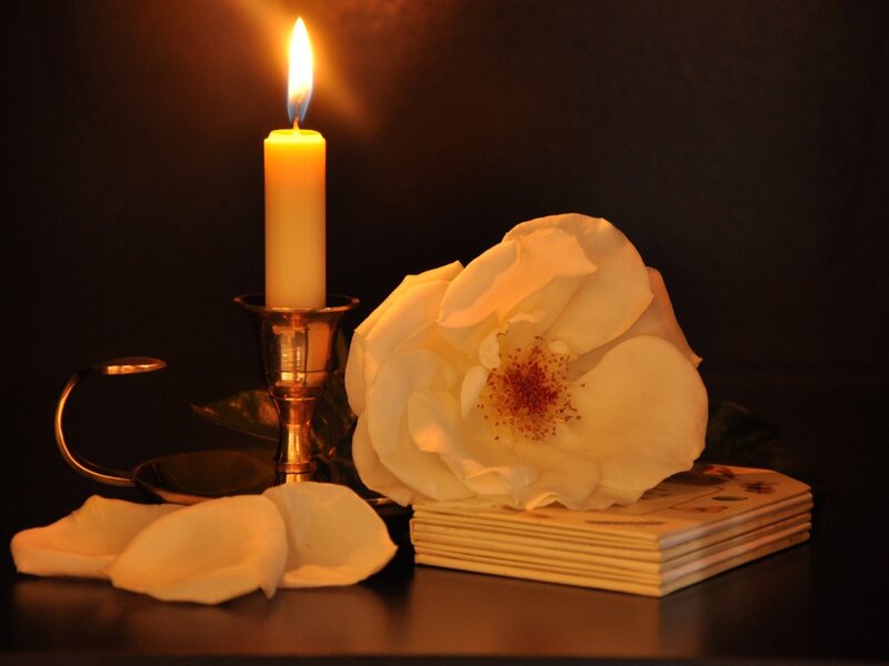White Rose and Candle — Black, Dramatic