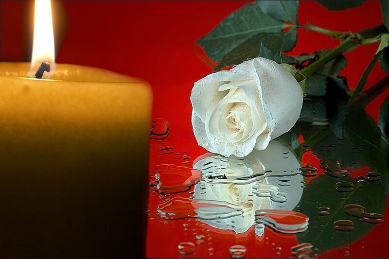 White Rose and Candle — Red